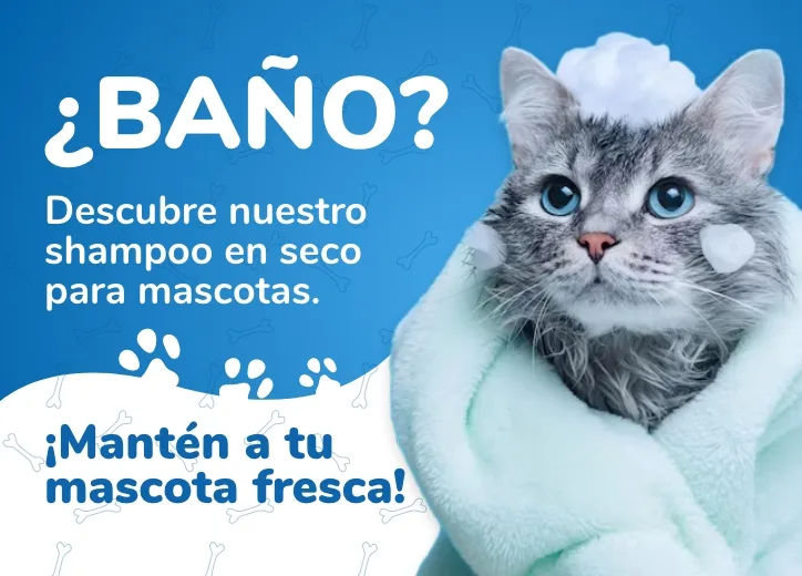 Shampoo en seco para mascotas