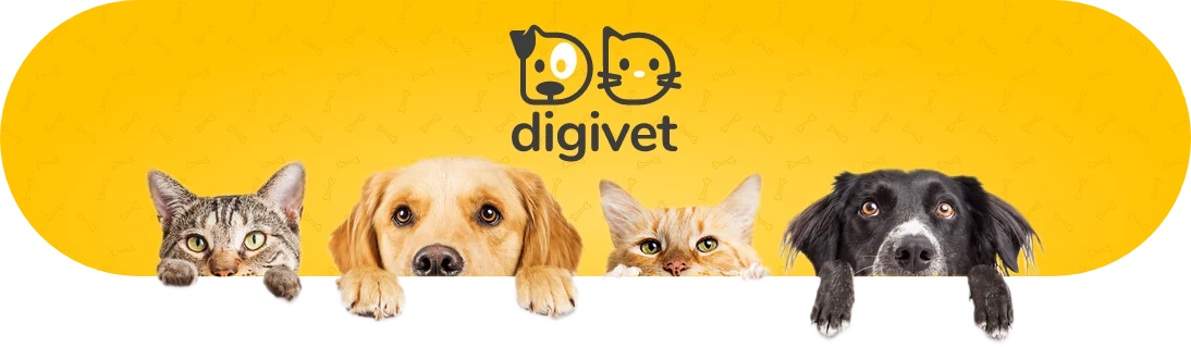DigiVet, plataforma de distribución digital para marcas de productos para mascotas
