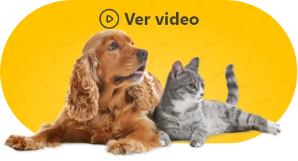 Únete a DigiVet como marca proveedora