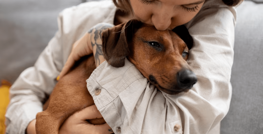 Aplicaciones de Gobierno para el Cuidado y Seguridad de tu Mascota 1