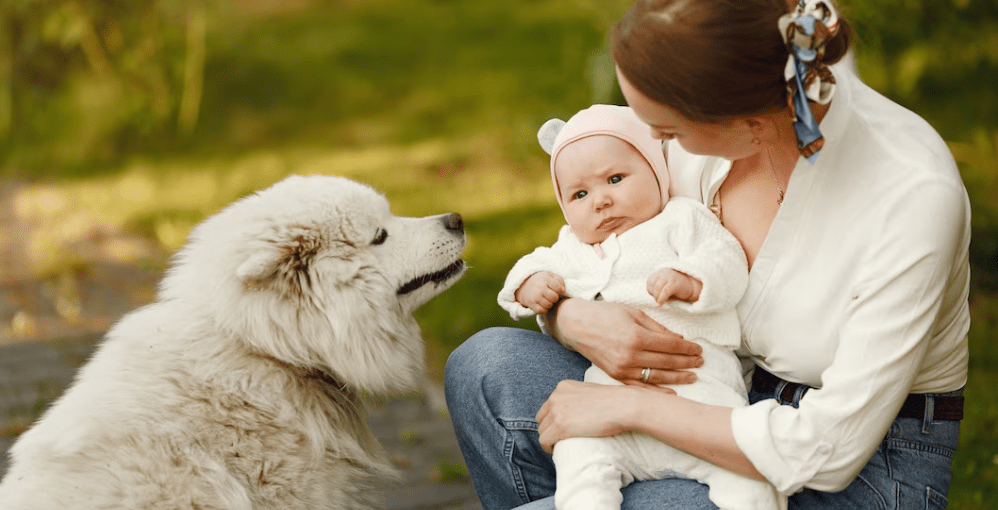 Cómo Preparar a tu Mascota para la Llegada de un Bebé 1 Como Preparar a tu Mascota para la Llegada de un Bebe