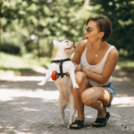 Ejercicio y Mascotas Actividades Recomendadas para Cada Tipo de Mascota