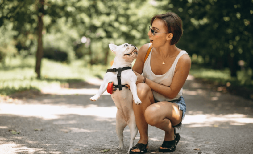 Ejercicio y Mascotas Actividades Recomendadas para Cada Tipo de Mascota