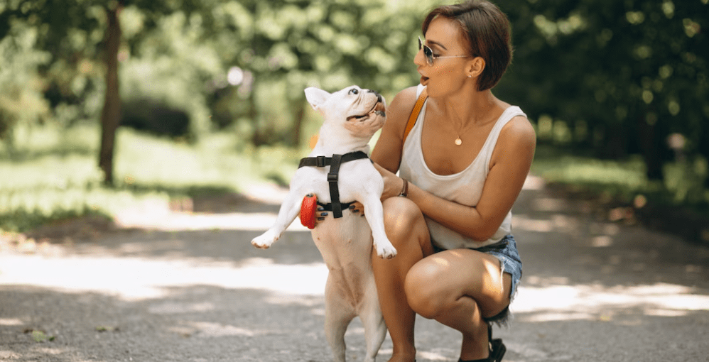 Ejercicio y Mascotas: Actividades Recomendadas para Cada Tipo de Mascota 1 Ejercicio y Mascotas Actividades Recomendadas para Cada Tipo de Mascota