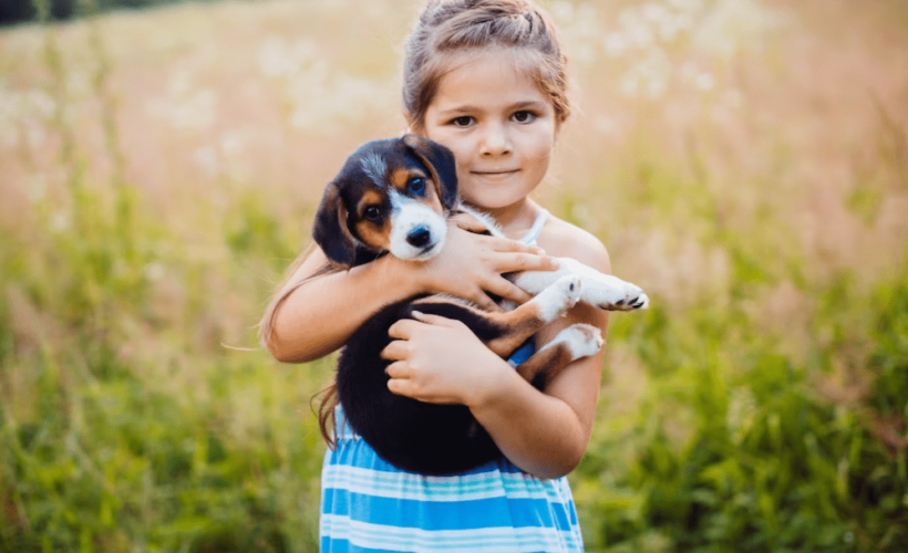 La Importancia de la Socializacion Temprana en Cachorros
