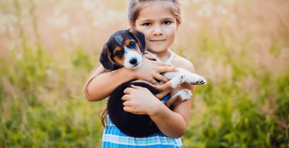 La Importancia de la Socialización Temprana en Cachorros 1 La Importancia de la Socializacion Temprana en Cachorros