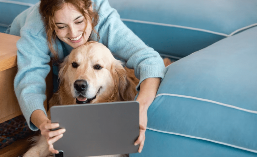 Las Mejores Herramientas Digitales para Mascotas en 2023 1