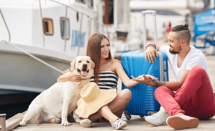 Viajar con Mascotas